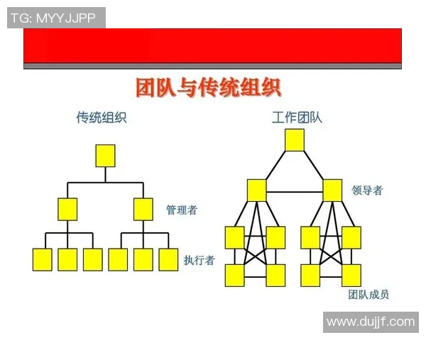 赛后复盘上海乒乓球队与杭州乒乓球队的团队协作与战术分析